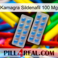 Kamagra Sildenafil 100Mg 23